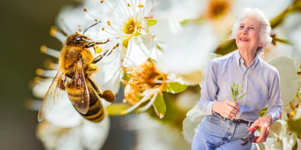 Insetti in giardino: scopri quali fiori li attraggono e come tenerli lontani.