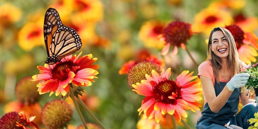 Perchè le farfalle sono importanti nel tuo giardino? Ecco la risposta